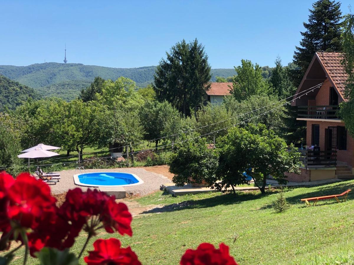 Fruska Pool House Villa Sremska Kamenica Eksteriør bilde