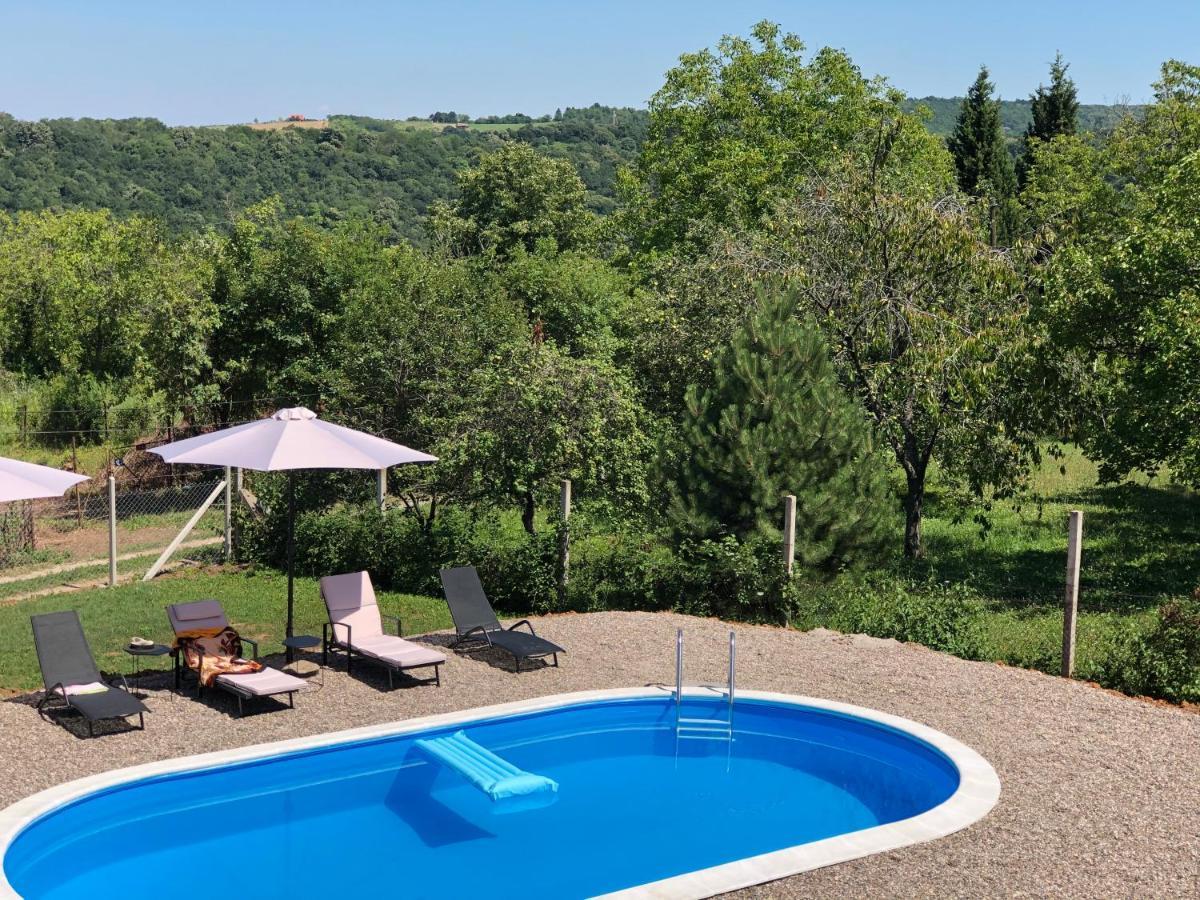 Fruska Pool House Villa Sremska Kamenica Eksteriør bilde