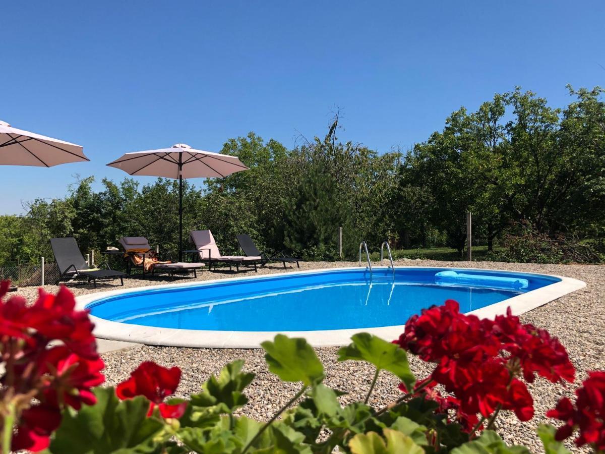 Fruska Pool House Villa Sremska Kamenica Eksteriør bilde