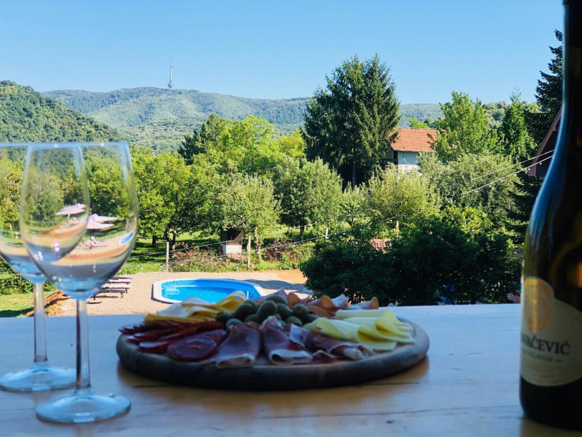 Fruska Pool House Villa Sremska Kamenica Eksteriør bilde