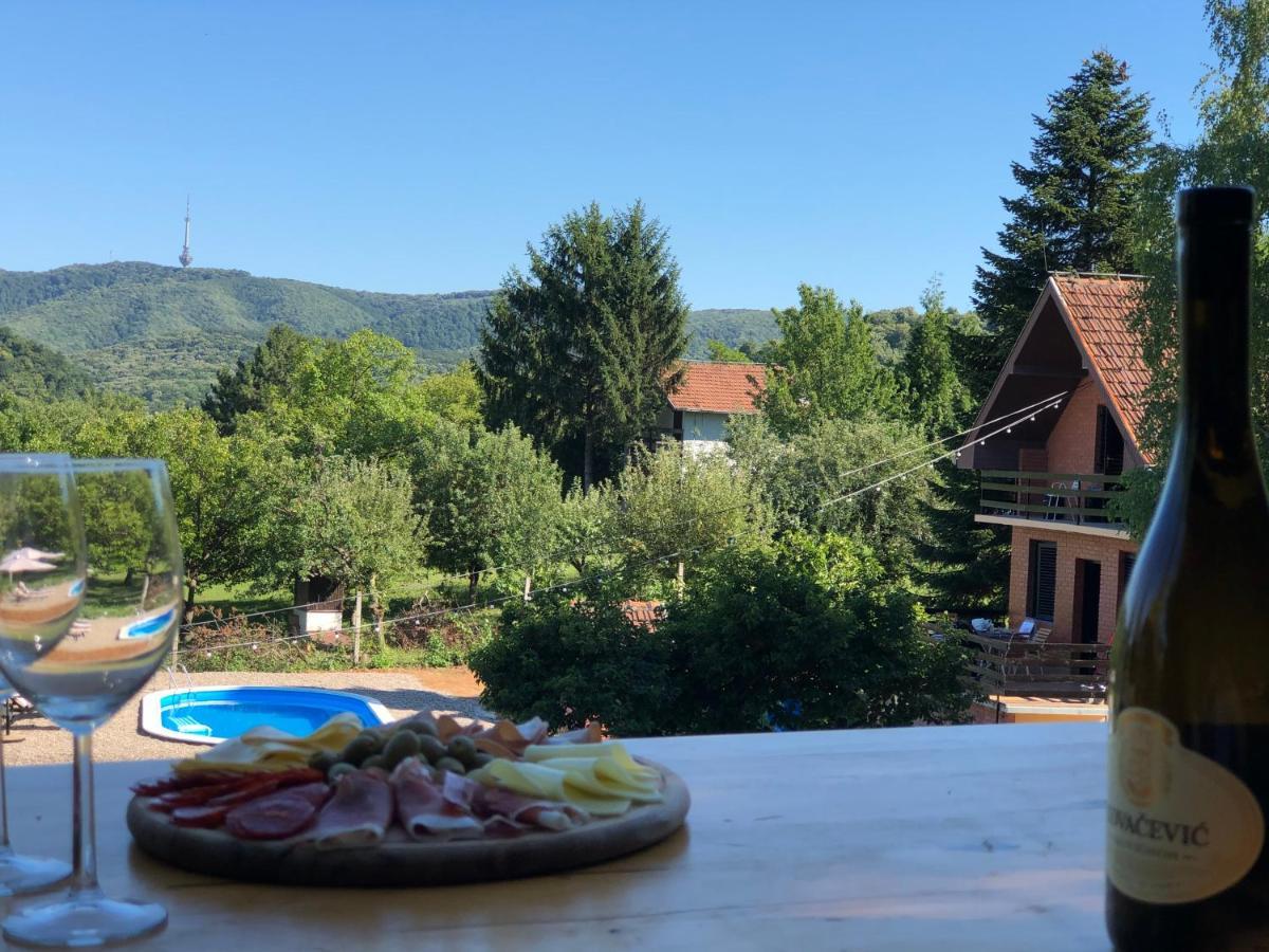 Fruska Pool House Villa Sremska Kamenica Eksteriør bilde