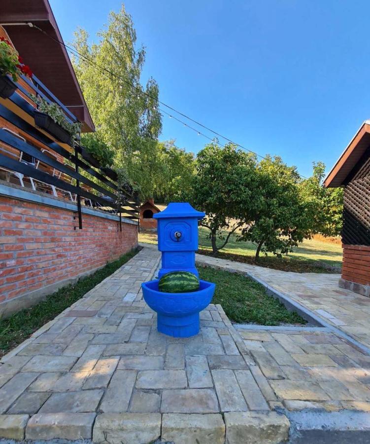 Fruska Pool House Villa Sremska Kamenica Eksteriør bilde