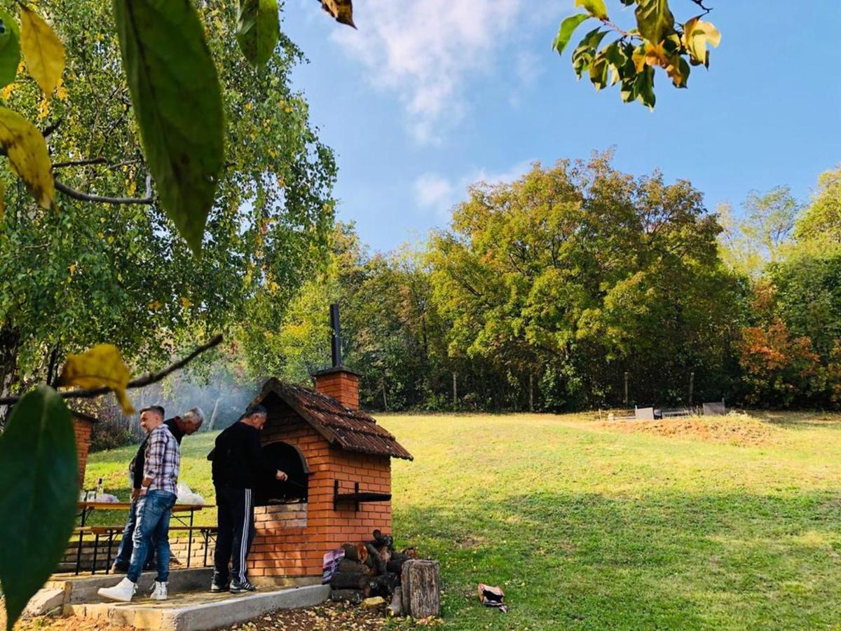 Fruska Pool House Villa Sremska Kamenica Eksteriør bilde