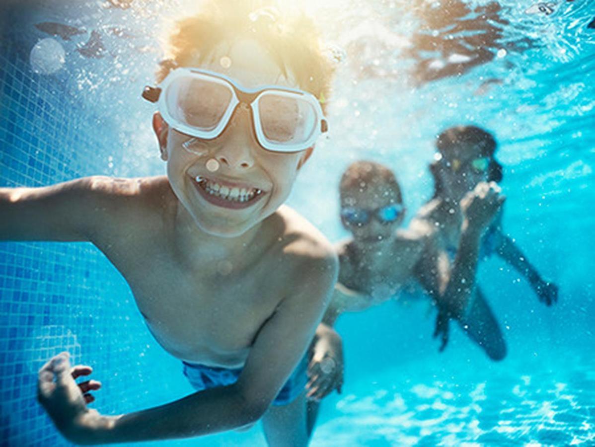 Fruska Pool House Villa Sremska Kamenica Eksteriør bilde