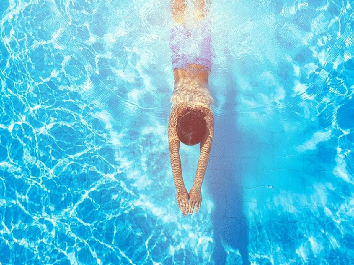 Fruska Pool House Villa Sremska Kamenica Eksteriør bilde