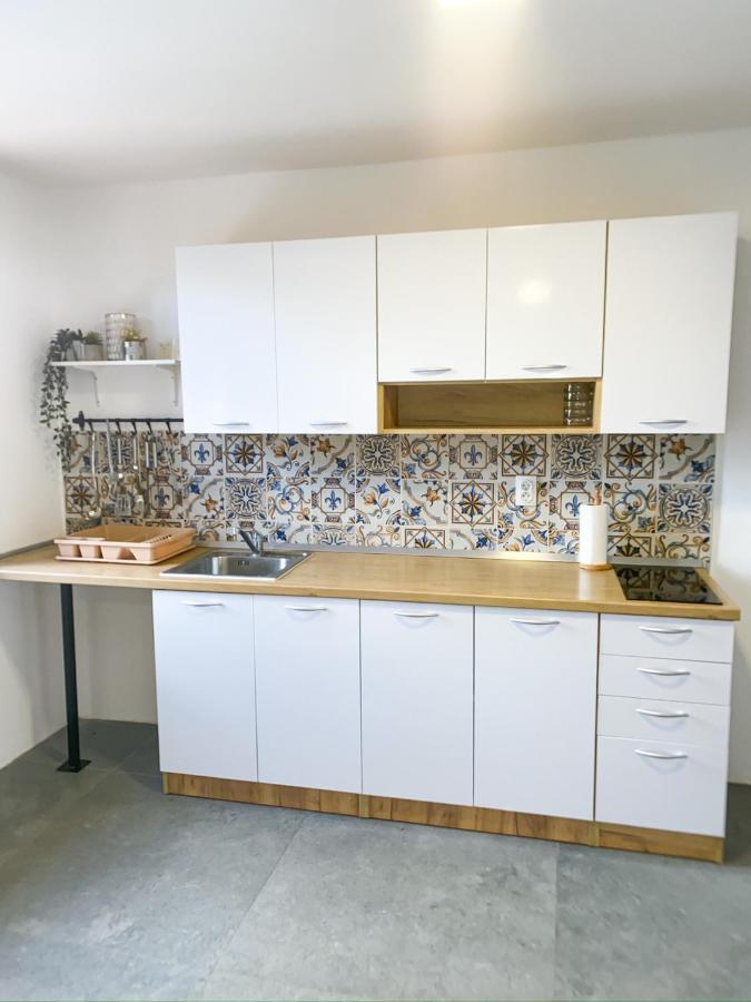 Fruska Pool House Villa Sremska Kamenica Eksteriør bilde