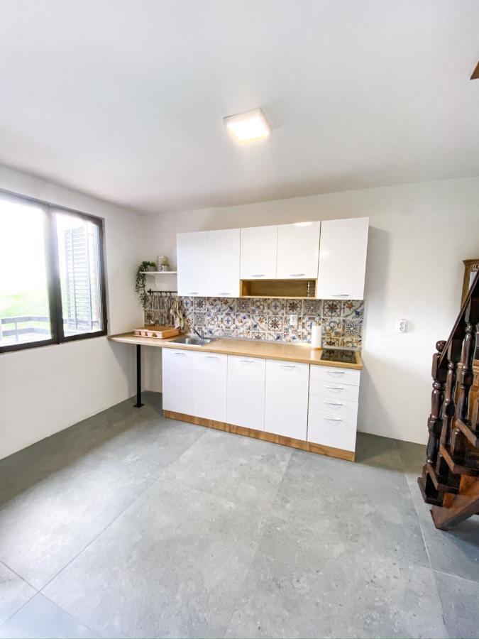 Fruska Pool House Villa Sremska Kamenica Eksteriør bilde