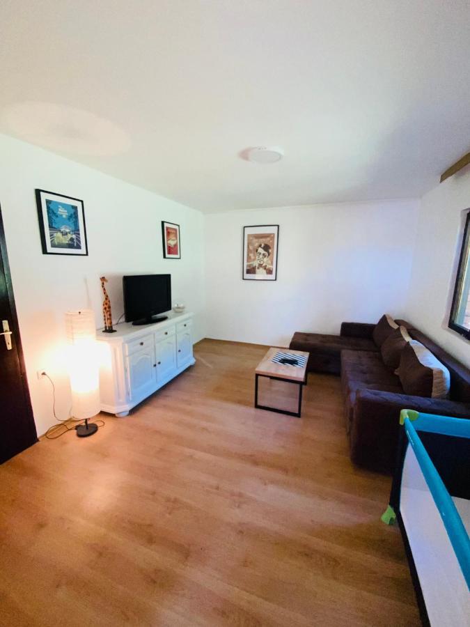 Fruska Pool House Villa Sremska Kamenica Eksteriør bilde