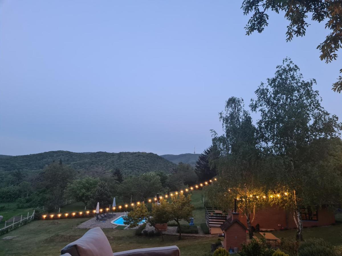 Fruska Pool House Villa Sremska Kamenica Eksteriør bilde