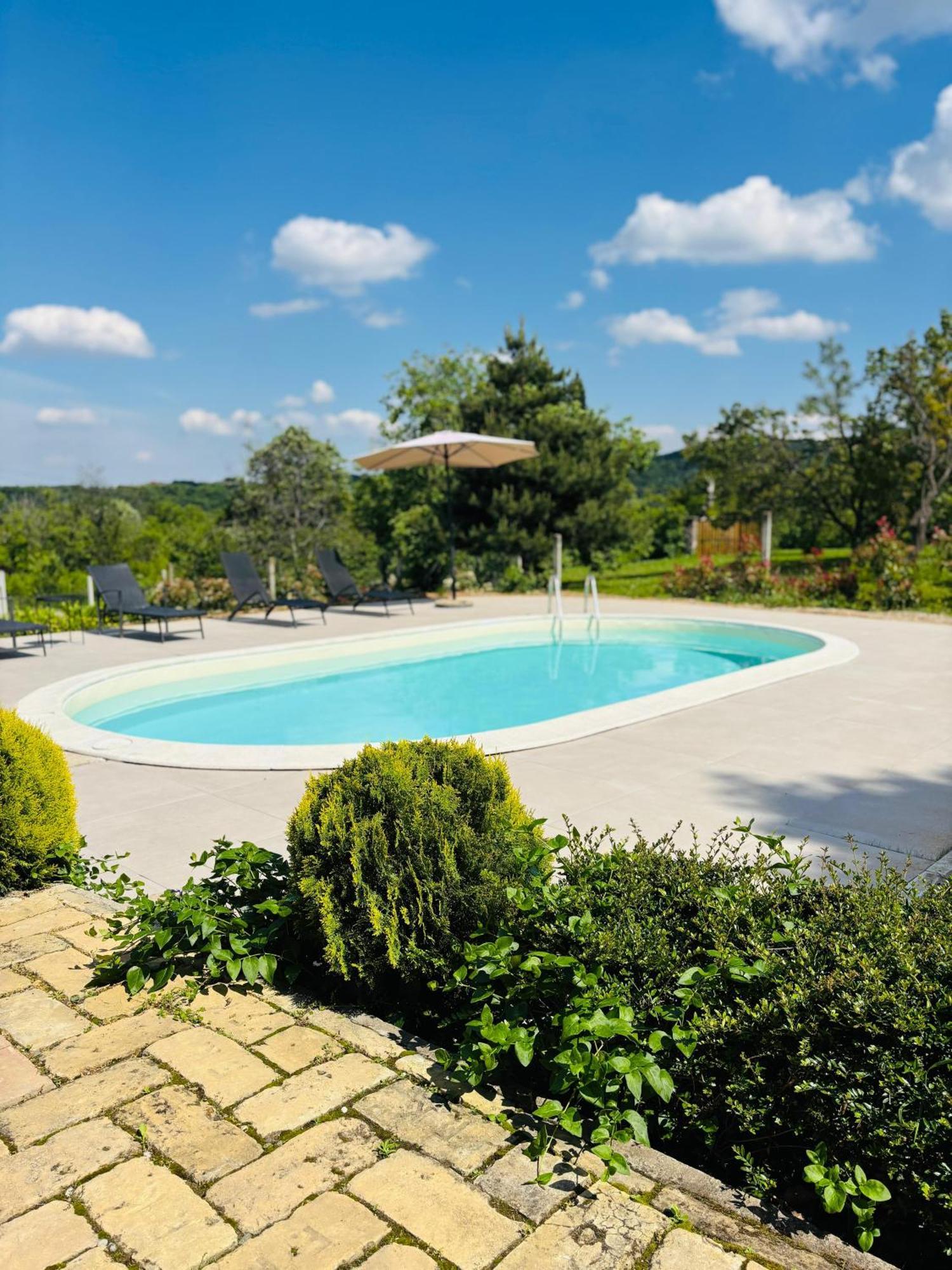 Fruska Pool House Villa Sremska Kamenica Eksteriør bilde
