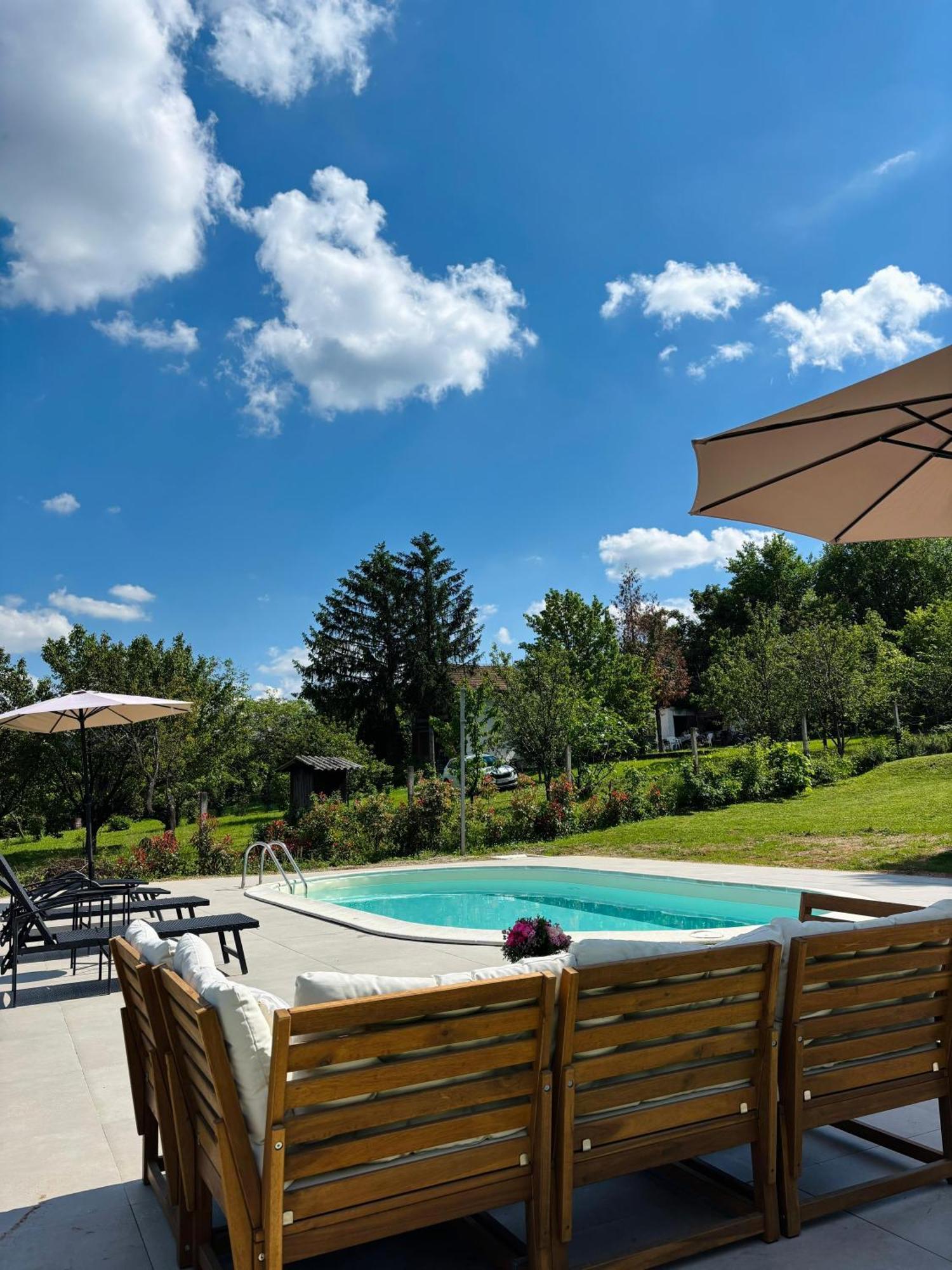 Fruska Pool House Villa Sremska Kamenica Eksteriør bilde