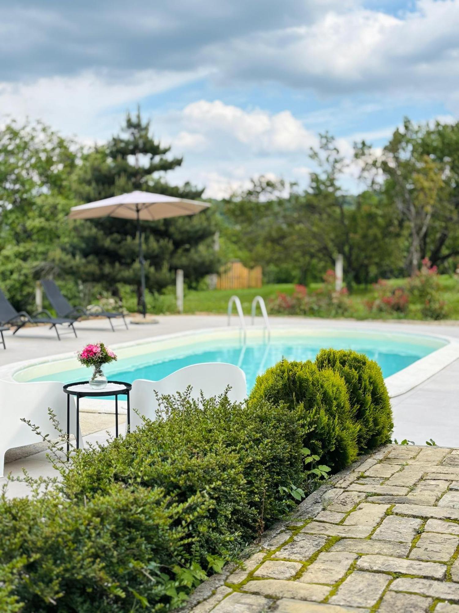 Fruska Pool House Villa Sremska Kamenica Eksteriør bilde