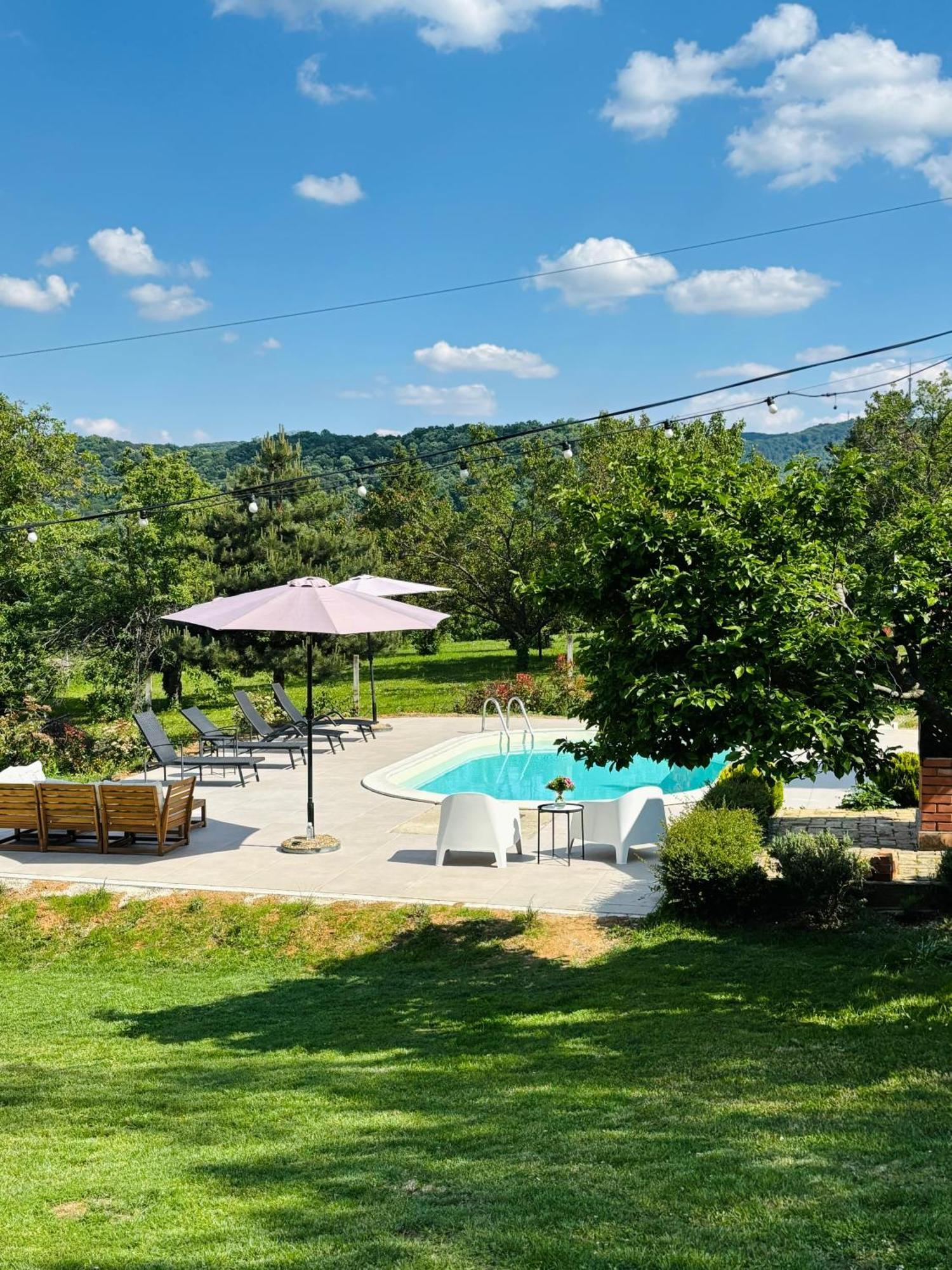Fruska Pool House Villa Sremska Kamenica Eksteriør bilde
