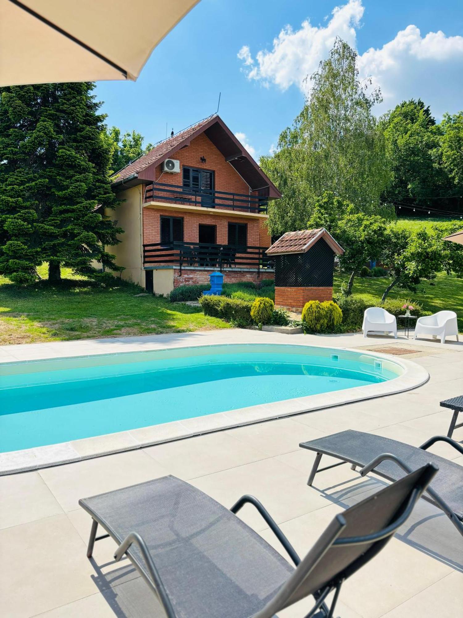 Fruska Pool House Villa Sremska Kamenica Eksteriør bilde